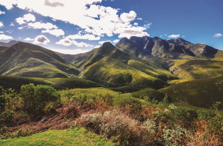 George Financially Sound  – Third in SA and Second in Western Cape