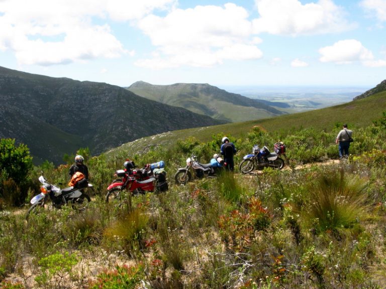 The OX-Wagon N1 	Continued…