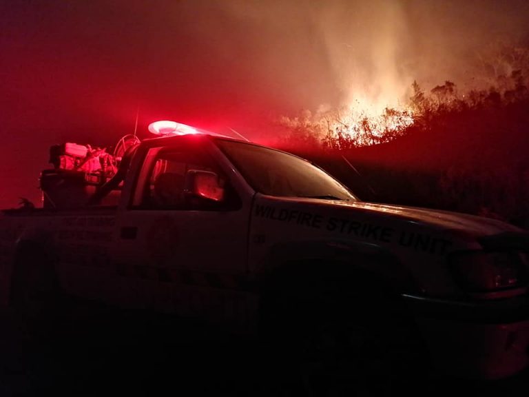 Firstcare Wildfire Support