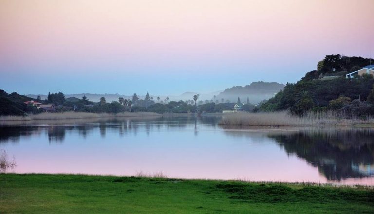 Wilderness 100 Festival