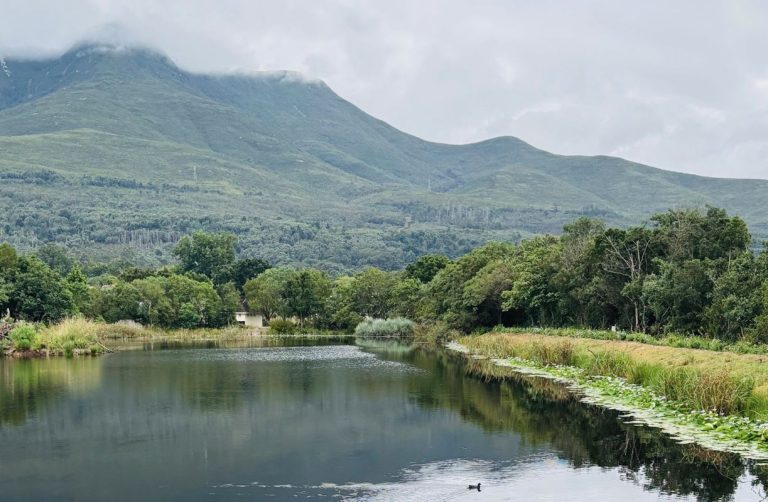 International Biodiversity Day | 22 May 2025 Theme: “Harmony with Nature and Sustainable Development”