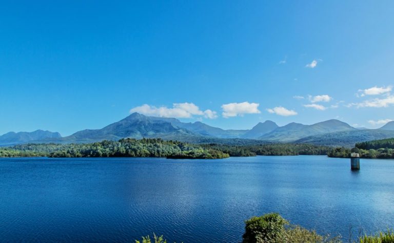 Water Saving Tips and Restrictions