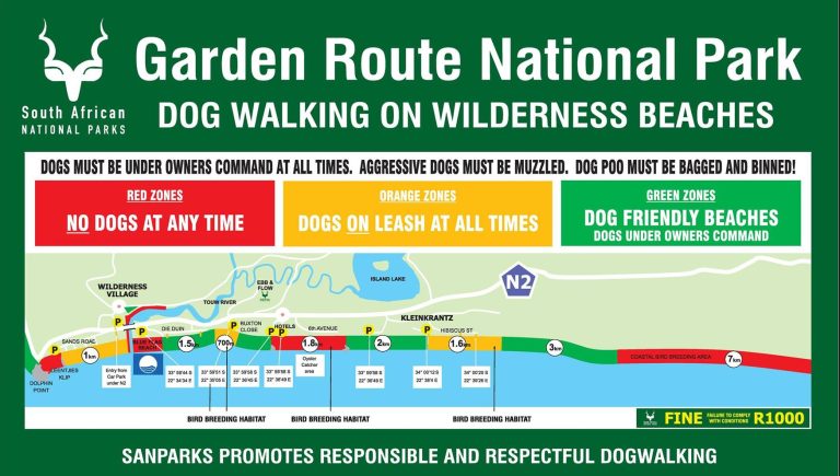 Dogs on beaches (sand area) detrimental to Blue Flag status