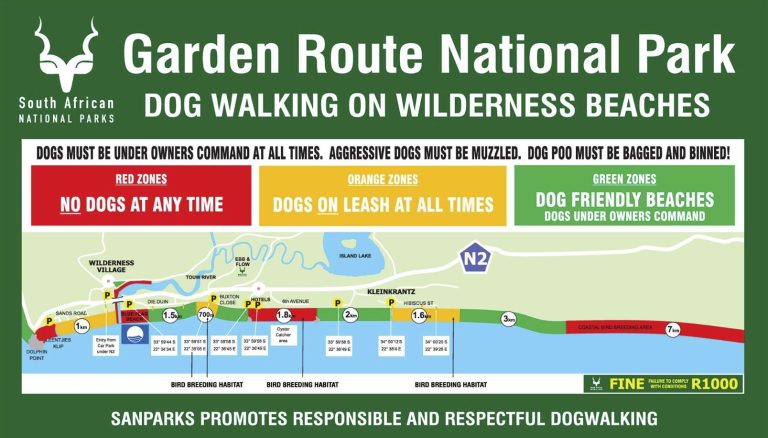 Dogs on beaches(sand area) detrimental to Blue Flag status